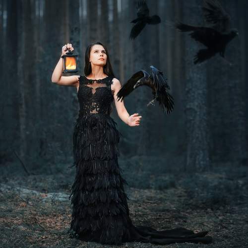 Фотография #8384589