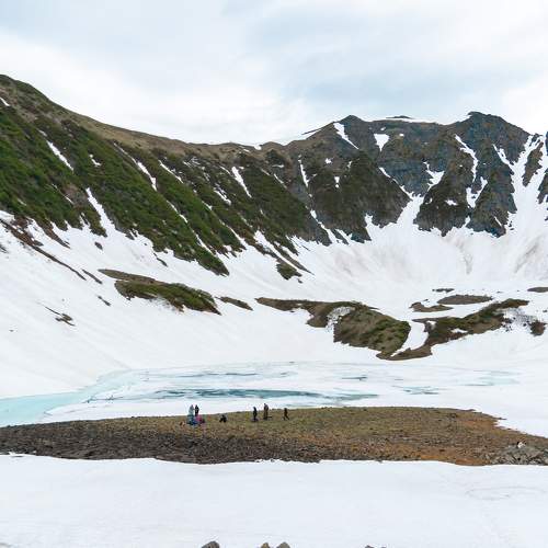 Photo #8384625