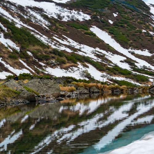 Photo #8384626