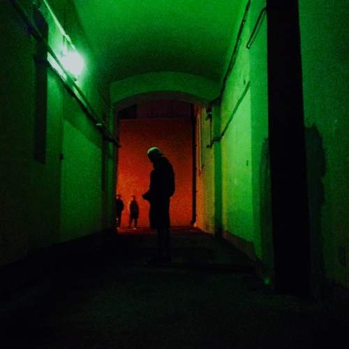 Photo #8384764