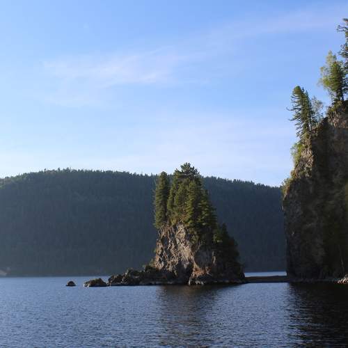 Photo #8385018
