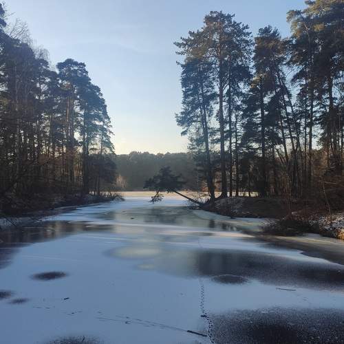 Photo #8385062