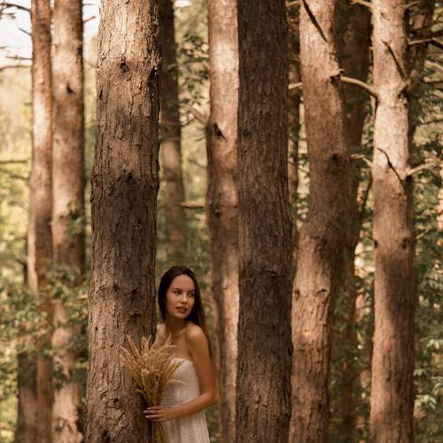 Photo #8385084