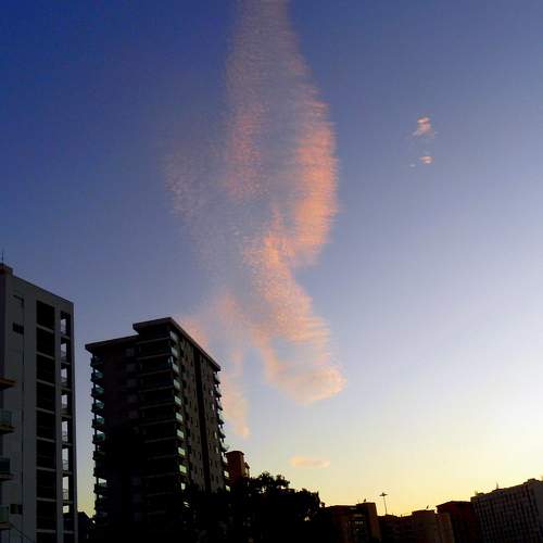 Photo #8385401