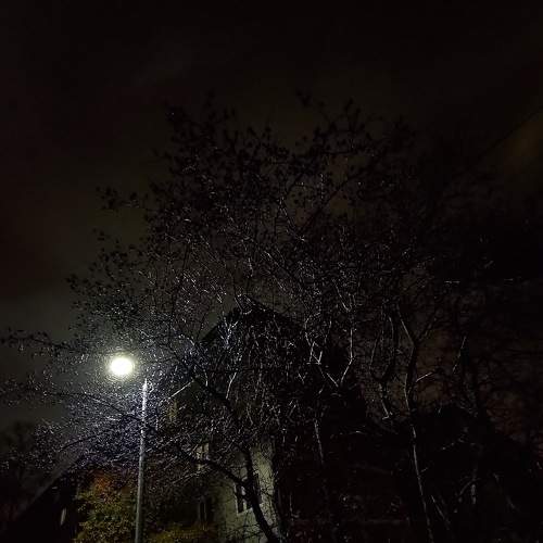 Photo #8385778