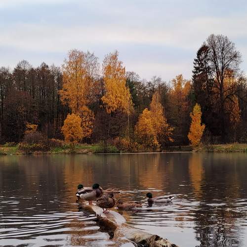 Photo #8385910