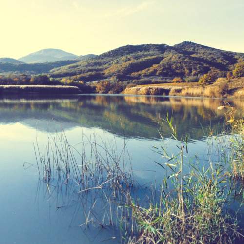 Photo #8385945