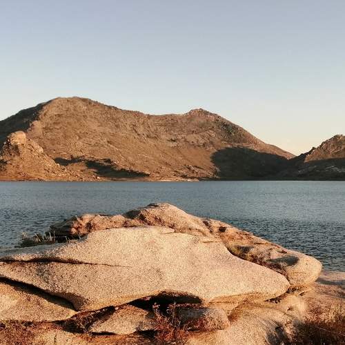 Photo #8385954