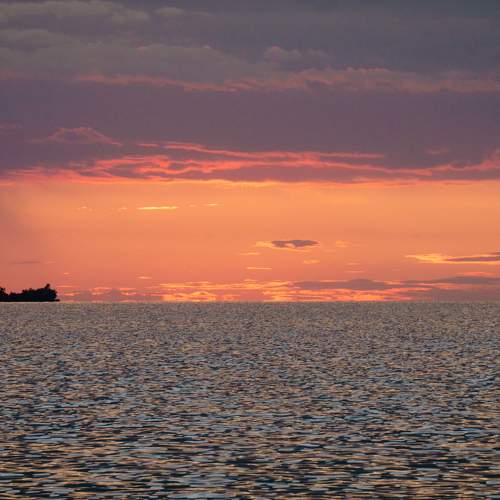 Photo #8386033