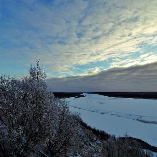 Photo #8386397