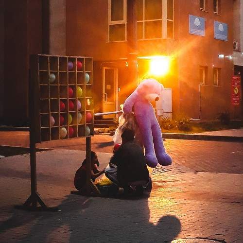 Photo #8386511