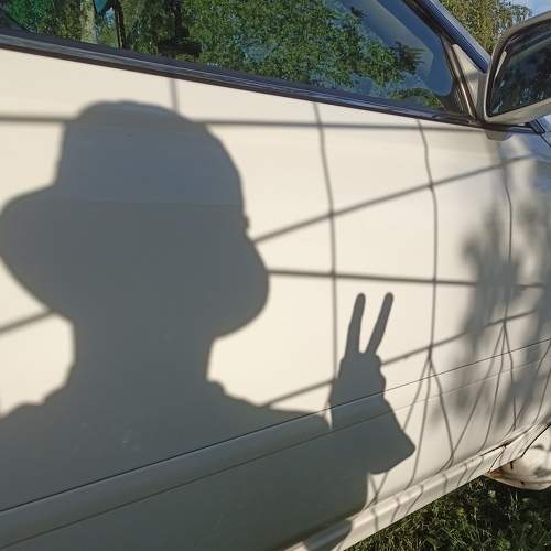 Photo #8386527