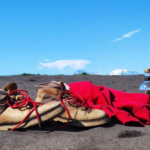 Photo #8386646