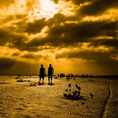 Photo #8386783