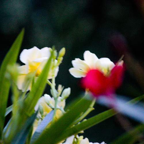 Photo #8386784
