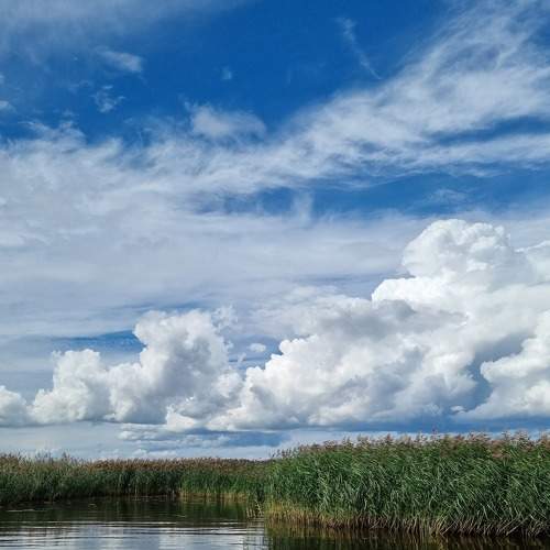 Photo #8386798