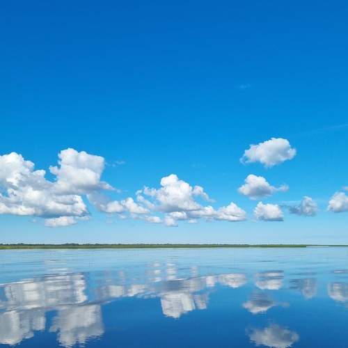 Photo #8386799
