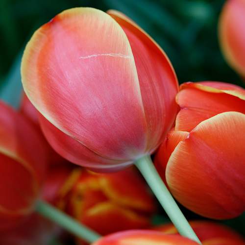 Photo #8386961