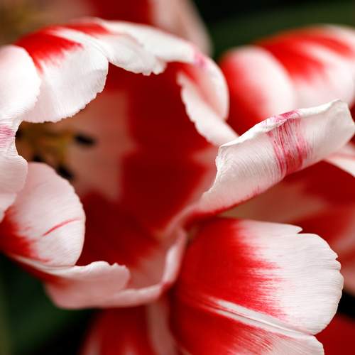 Photo #8386962