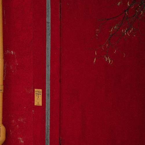 Photo #8387088