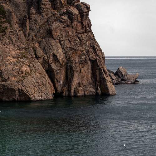 Photo #8387402