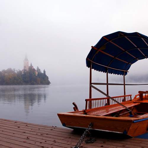Photo #8387605