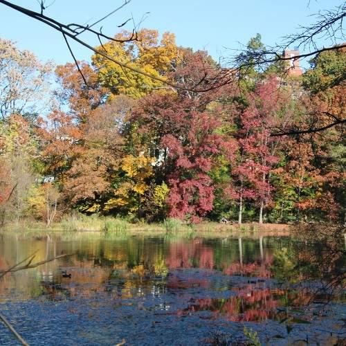 Photo #8388079