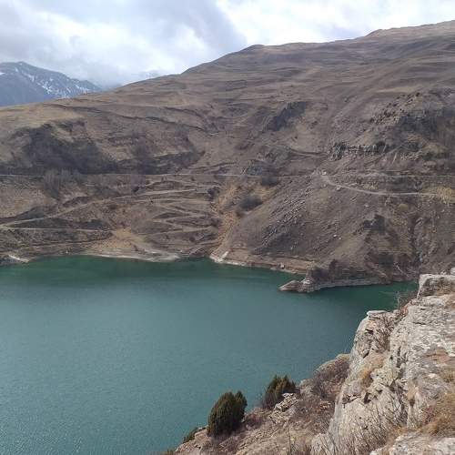 Photo #8388274