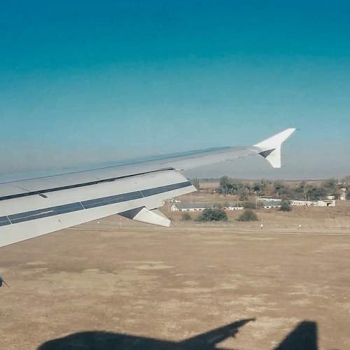 Photo #8388441