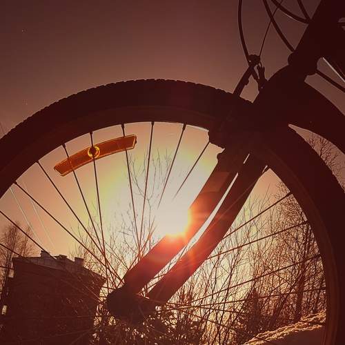 Photo #8388743