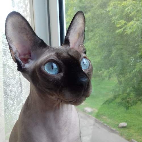 Photo #8388842