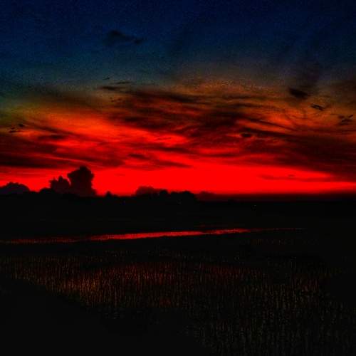 The Red Enigma