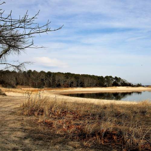Photo #8389148