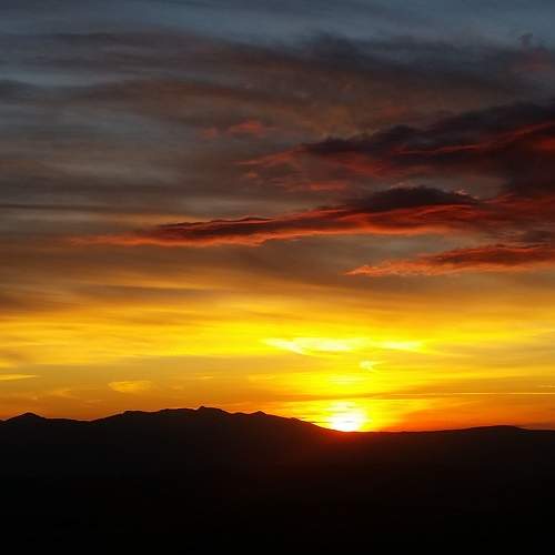 Photo #8389387