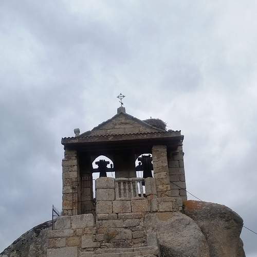 Photo #8389390