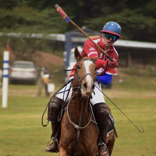 Photo #8389418
