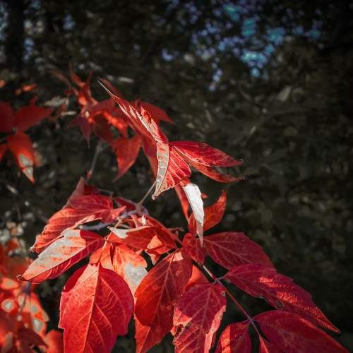 Photo #8389468