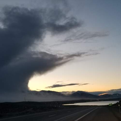 Photo #8389552
