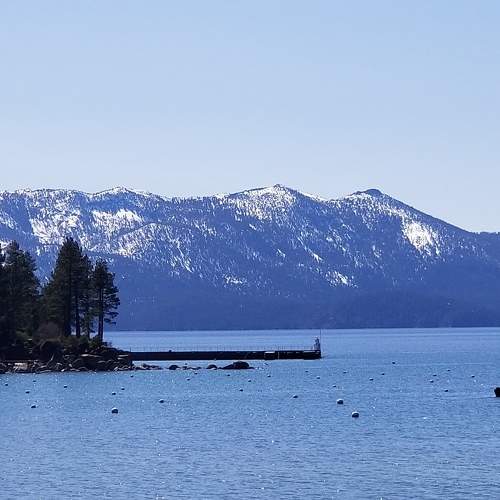 Photo #8389589