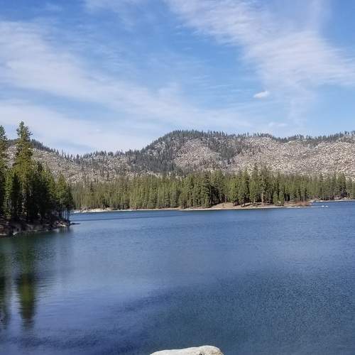 Photo #8389592
