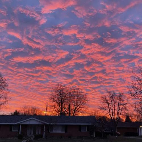 Photo #8389701