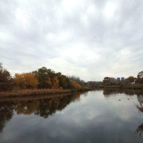Photo #8390056
