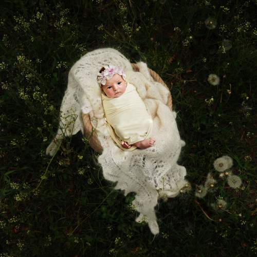 Photo #8390781