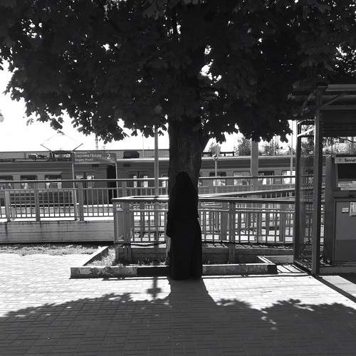 Photo #8391008