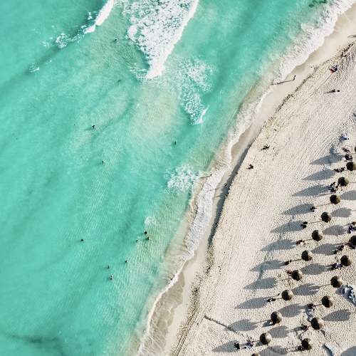 Photo #8391417