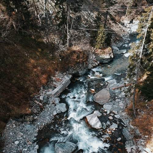 Photo #8391427