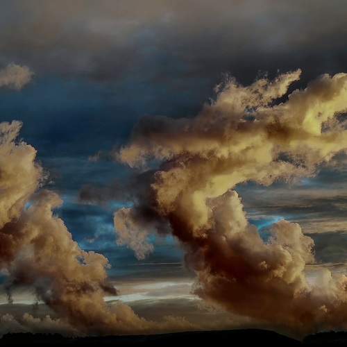 Photo #8391928