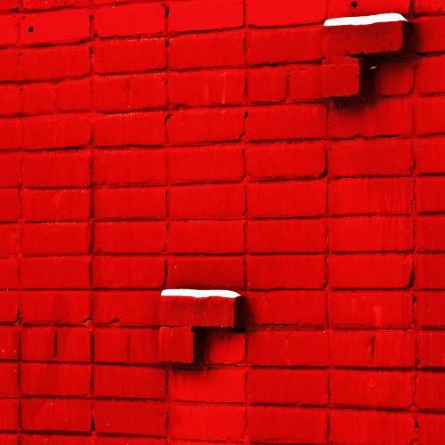 Photo #8392170