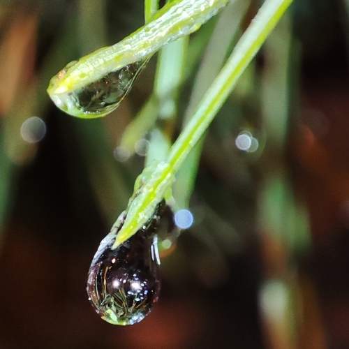 Photo #8392191