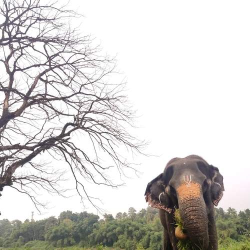 Photo #8392313